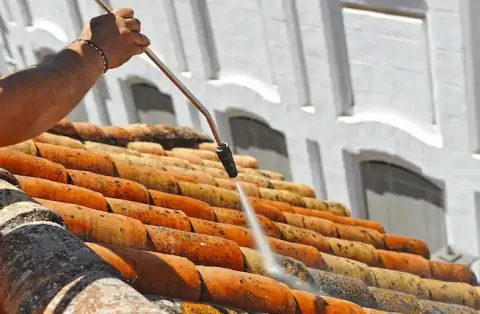 Nettoyage de toitures - Auris